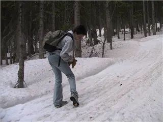 small_020527 coIMG_3295.webp